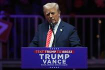 President Donald Trump speaks at a rally in Washington. (AP Photo/Matt Rourke)