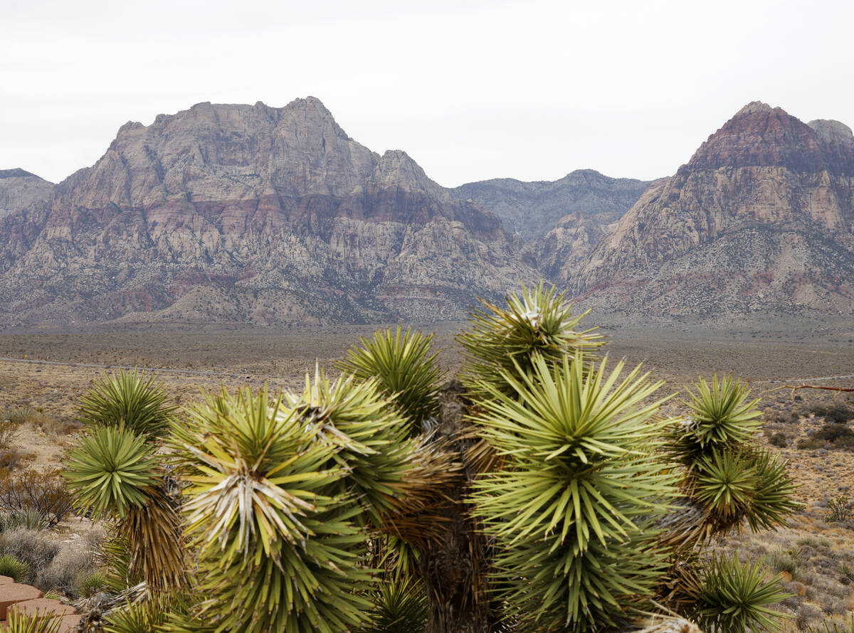 View from Red Rock Canyon Overlook on Friday, Jan. 31, 2025, in Las Vegas. Congresswoman Susie ...