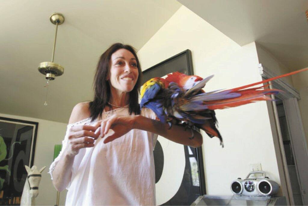 Pahrump resident Heidi Fleiss is offering a safe place for exotic birds owned by LA residents d ...