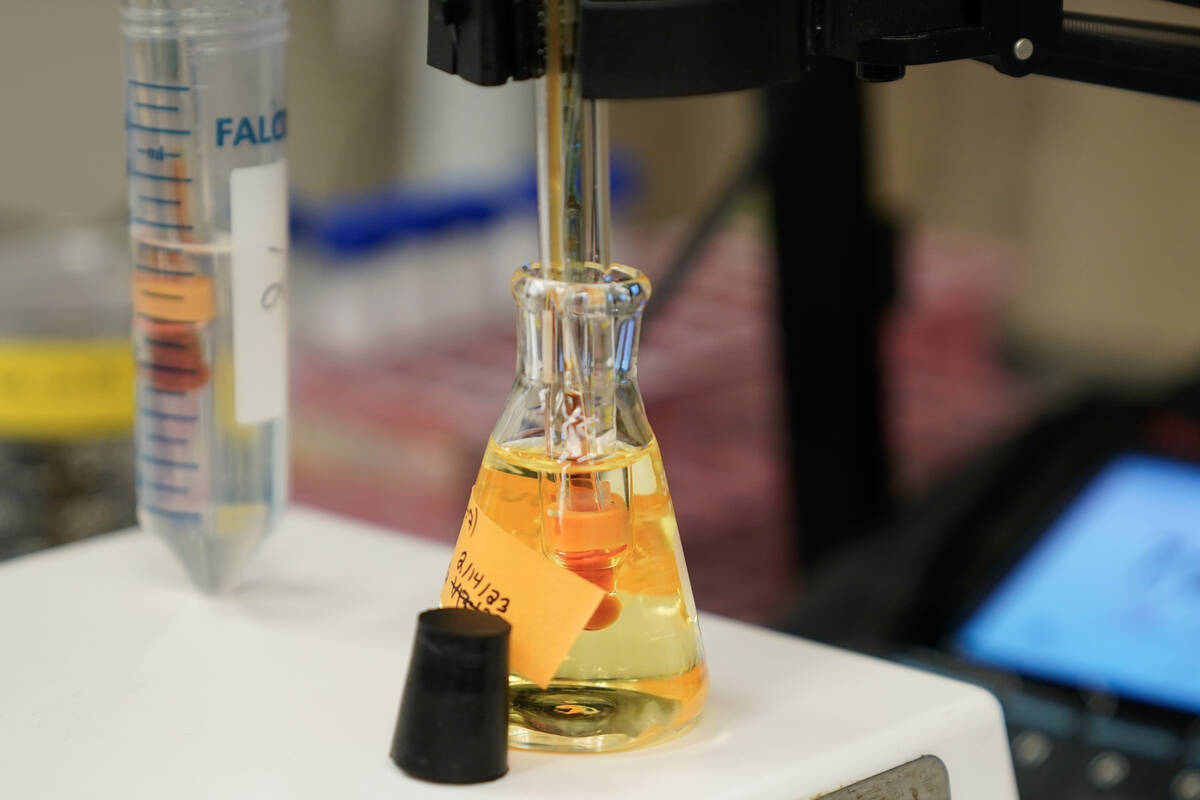 A water sample is measured as part of a PFAS drinking water treatment experiment on Feb. 14, 20 ...