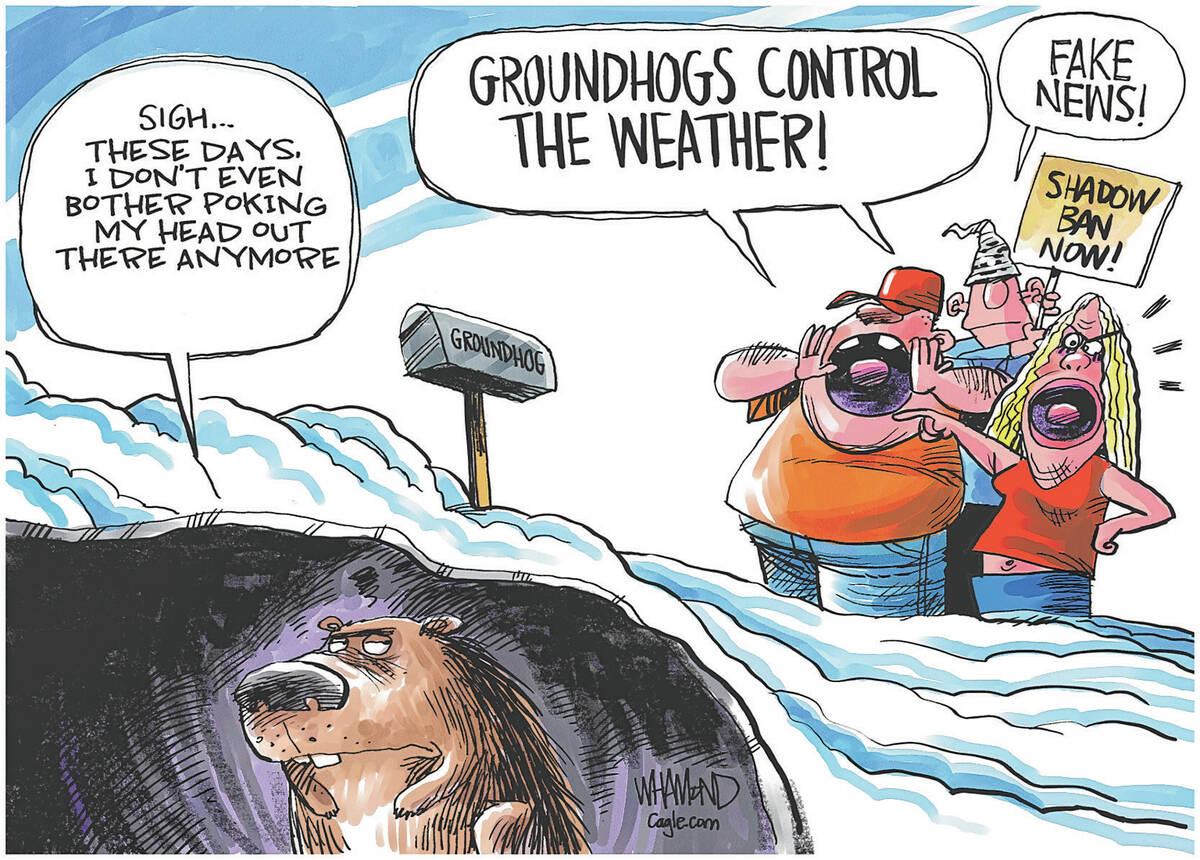 Dave Whamond PoliticalCartoons.com