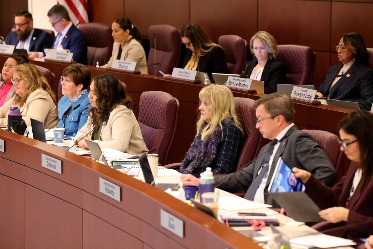 Legislators listen to testimony during a joint meeting of the Assembly Ways and Means and Senat ...