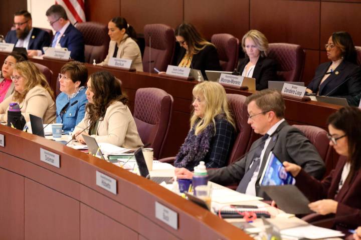 Legislators listen to testimony during a joint meeting of the Assembly Ways and Means and Senat ...