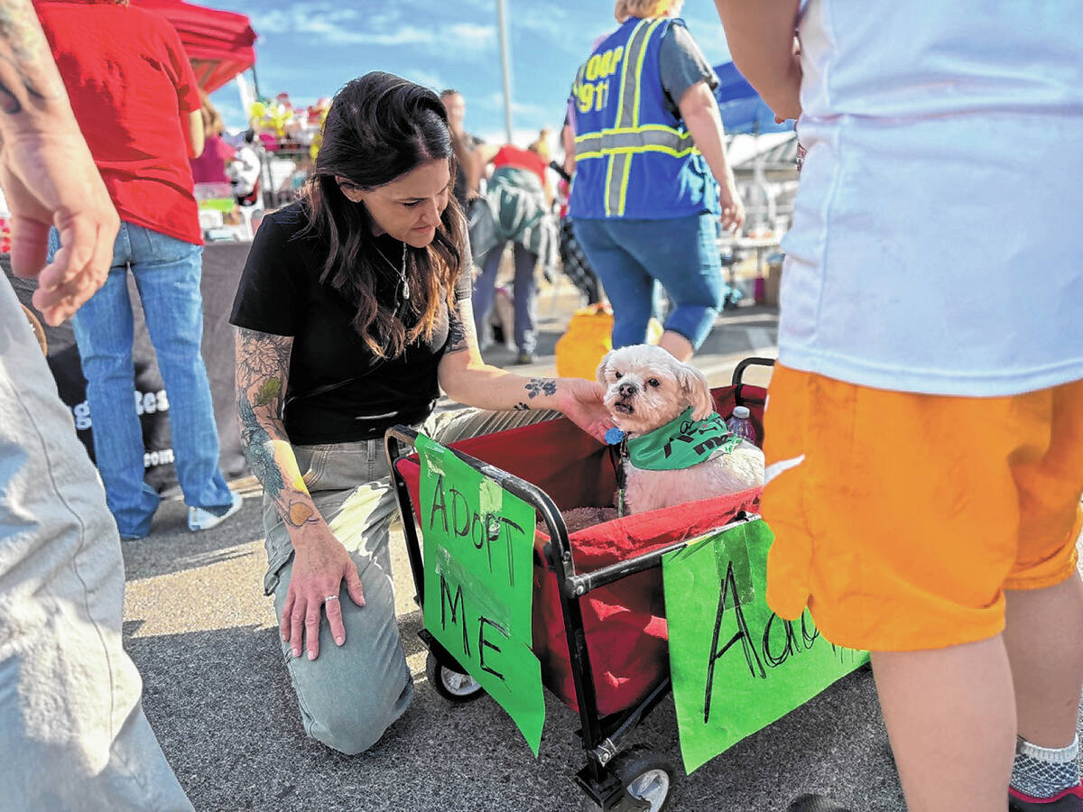 Attendees at Clark County's second annual "Puppy Love" fair on Feb. 8, 2025 play with Charlie, ...