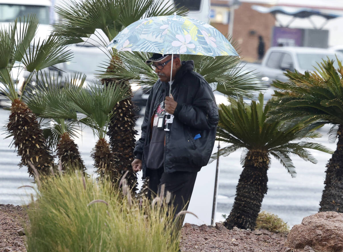 A pedestrian holds an umbrella to protect himself from rain as he crosses Jones Boulevard, on T ...