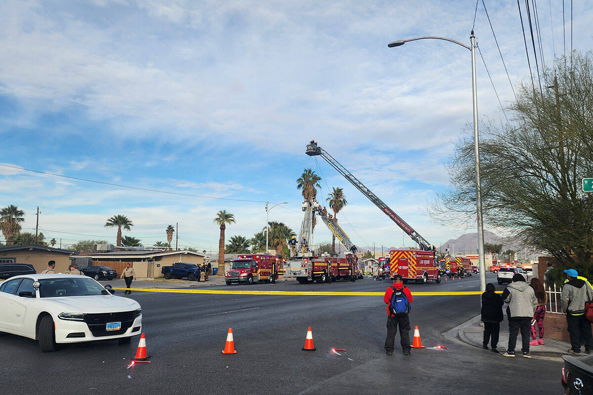 Las Vegas and Clark County fire department crews work to rescue a man from a palm tree on Bonan ...