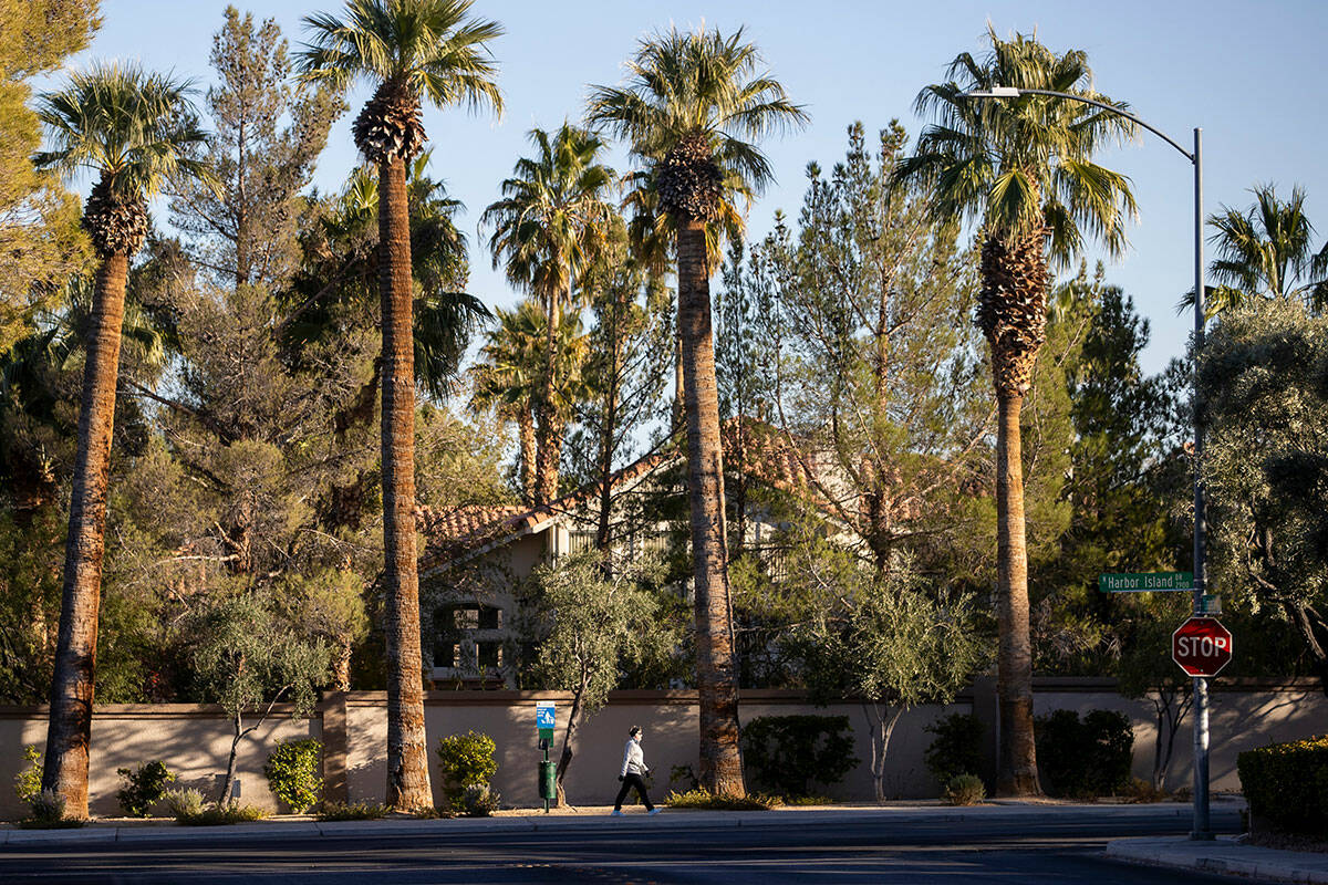 Nevada may require cities to address extreme heat in urban planning | Nevada | News Nevada may require cities to address extreme heat in urban planning | Nevada | News