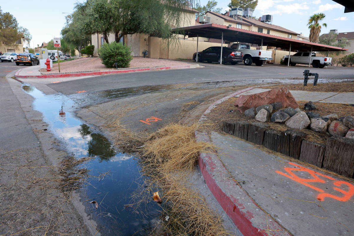 A leak is shown in the private water system at Somerset Park townhome complex in Henderson was ...