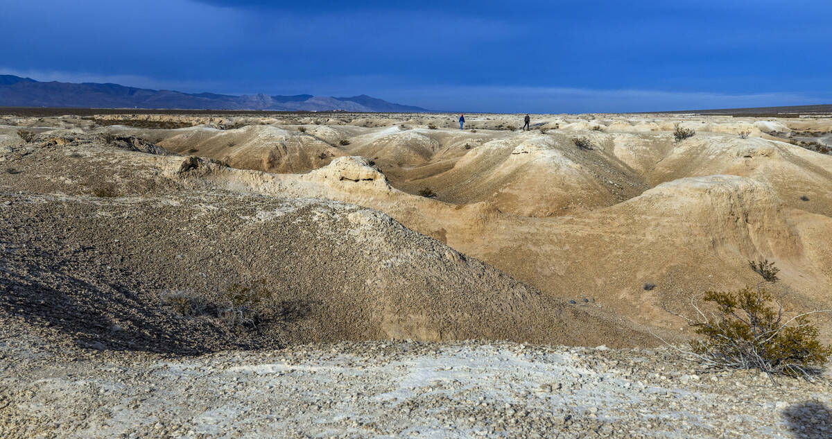 Tule Springs Fossil Beds National Monument was established on Dec. 19, 2014. According to a new ...