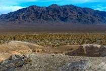 Tule Springs Fossil Beds National Monument in Las Vegas. (L.E. Baskow/Las Vegas Review-Journal) ...