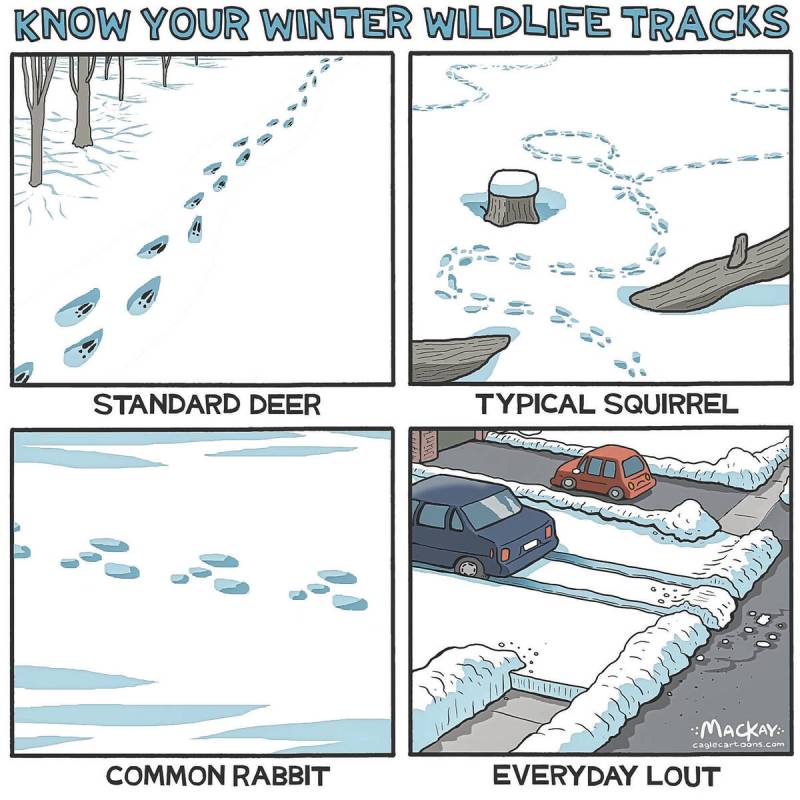 Editorial Cartoon by Graeme MacKay, - Sunday February 16, 2025 Different techniques for cleari ...