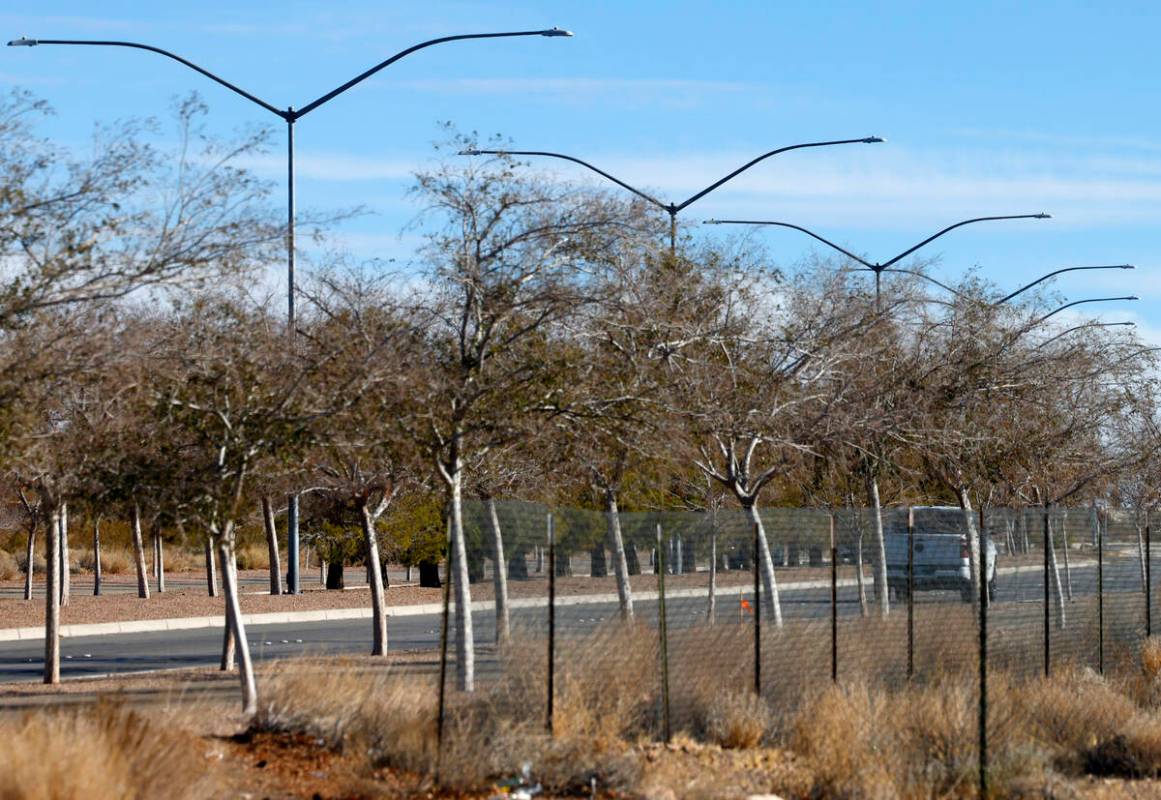 Streetlights are seen on Adams Boulevard near Boulder City High School on Friday, Feb. 21, 2025 ...