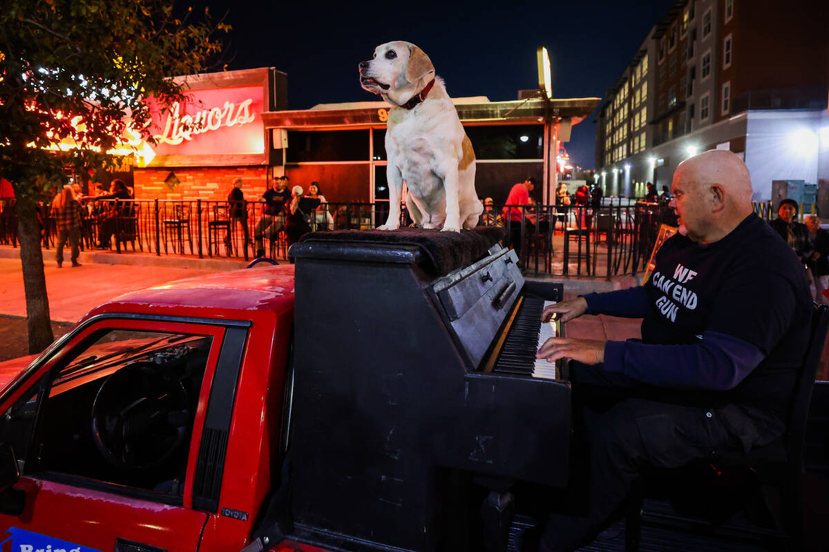 Danny Kean plays the piano with his dog, Mo, on top of it to raise money during a fundraiser in ...