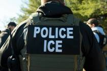 An Immigration and Customs Enforcement officer. (AP Photo/Alex Brandon, File)