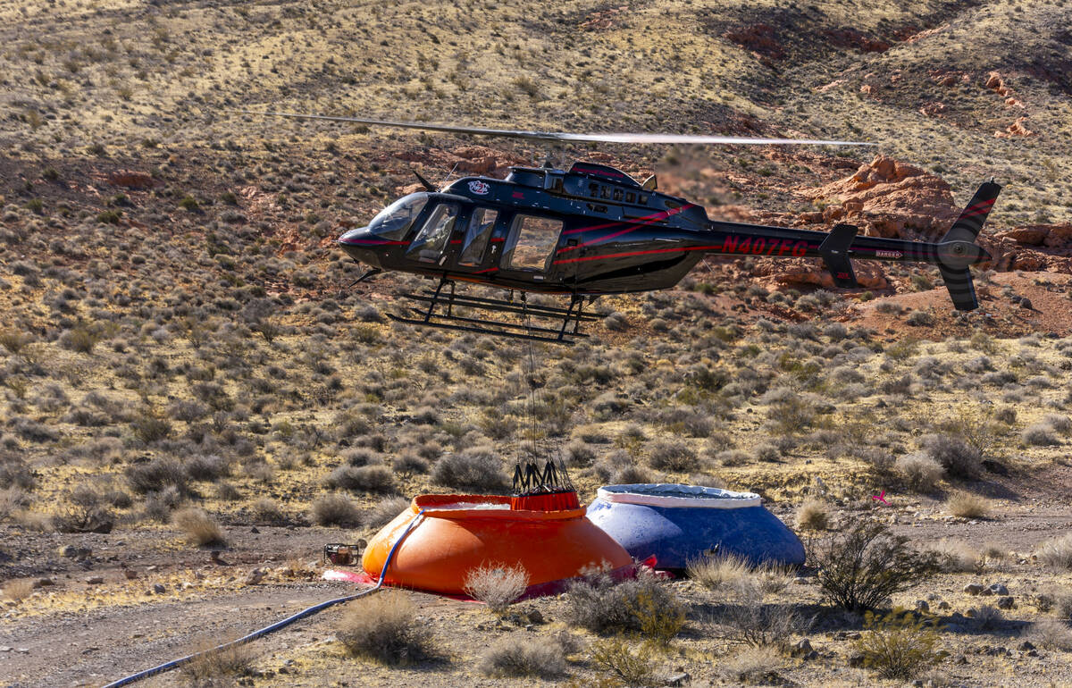 A helicopter hovers above a portable water tank to fill a Bambi Bucket on Friday, Feb. 28, 2025 ...
