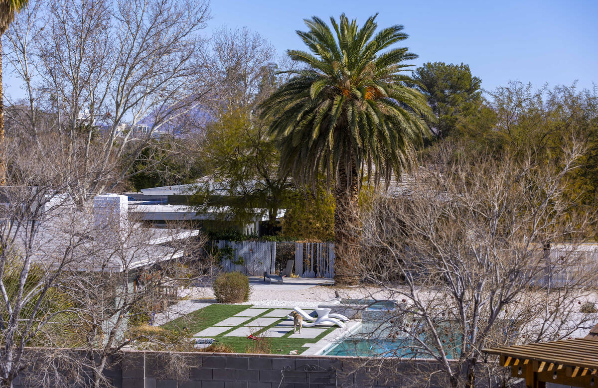 A backyard in the McNeil Estates neighborhood displays artificial grass and rock landscaping on ...