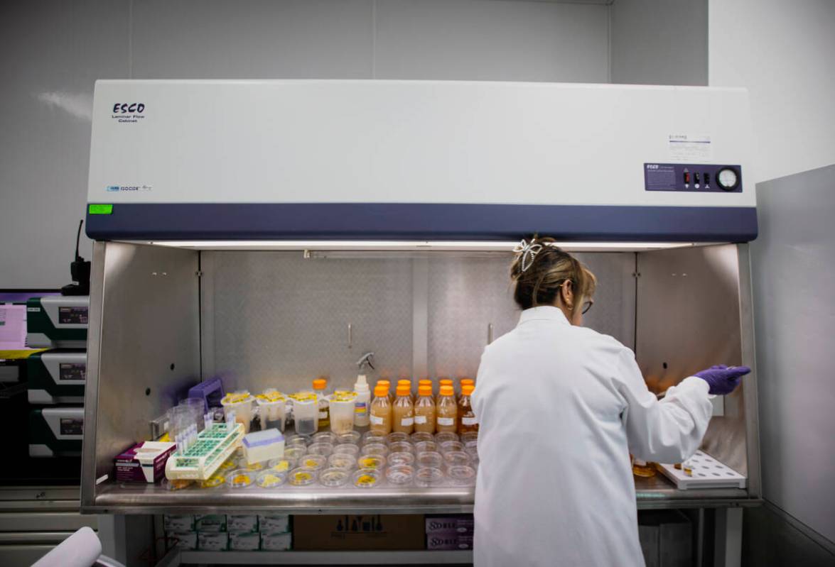 Incoming materials are tested in a lab as seen during a tour of the Nature's Lab facility on Th ...