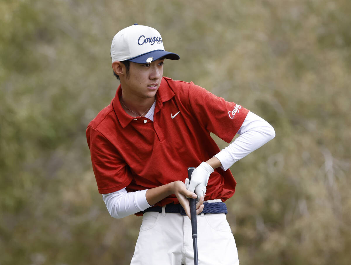 Coronado's Brent Chung reacts as he watches his drive after teeing off on the tenth during Clas ...