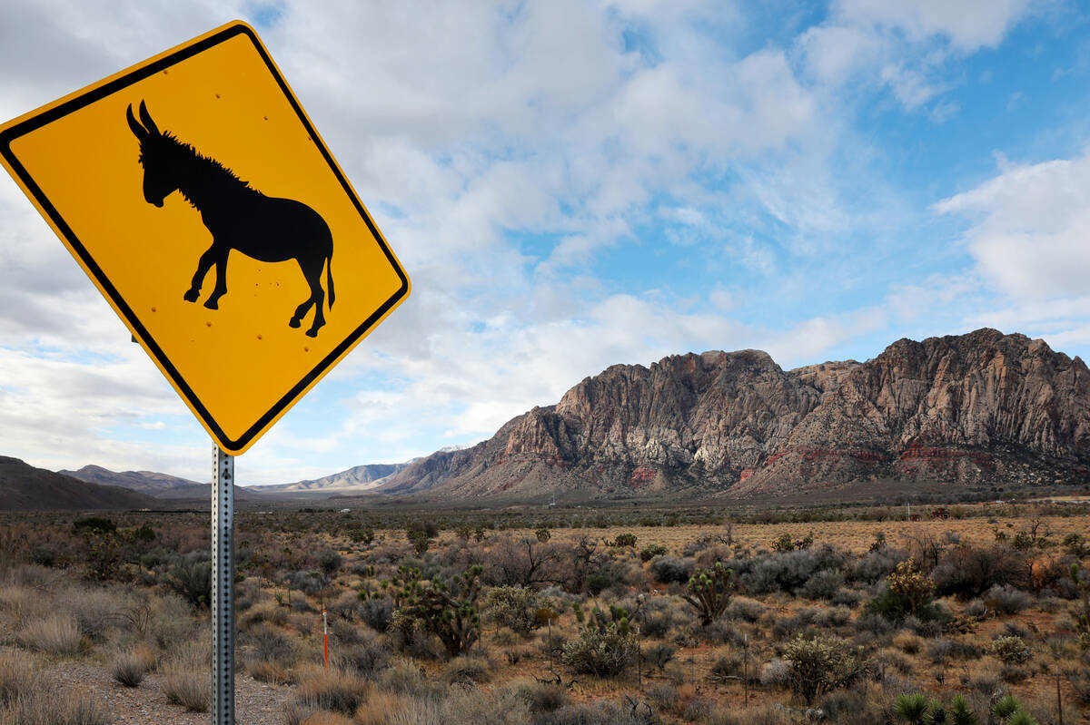 A wild burro warning sign is seen on State Route 159 in Red Rock Canyon National Conservation A ...