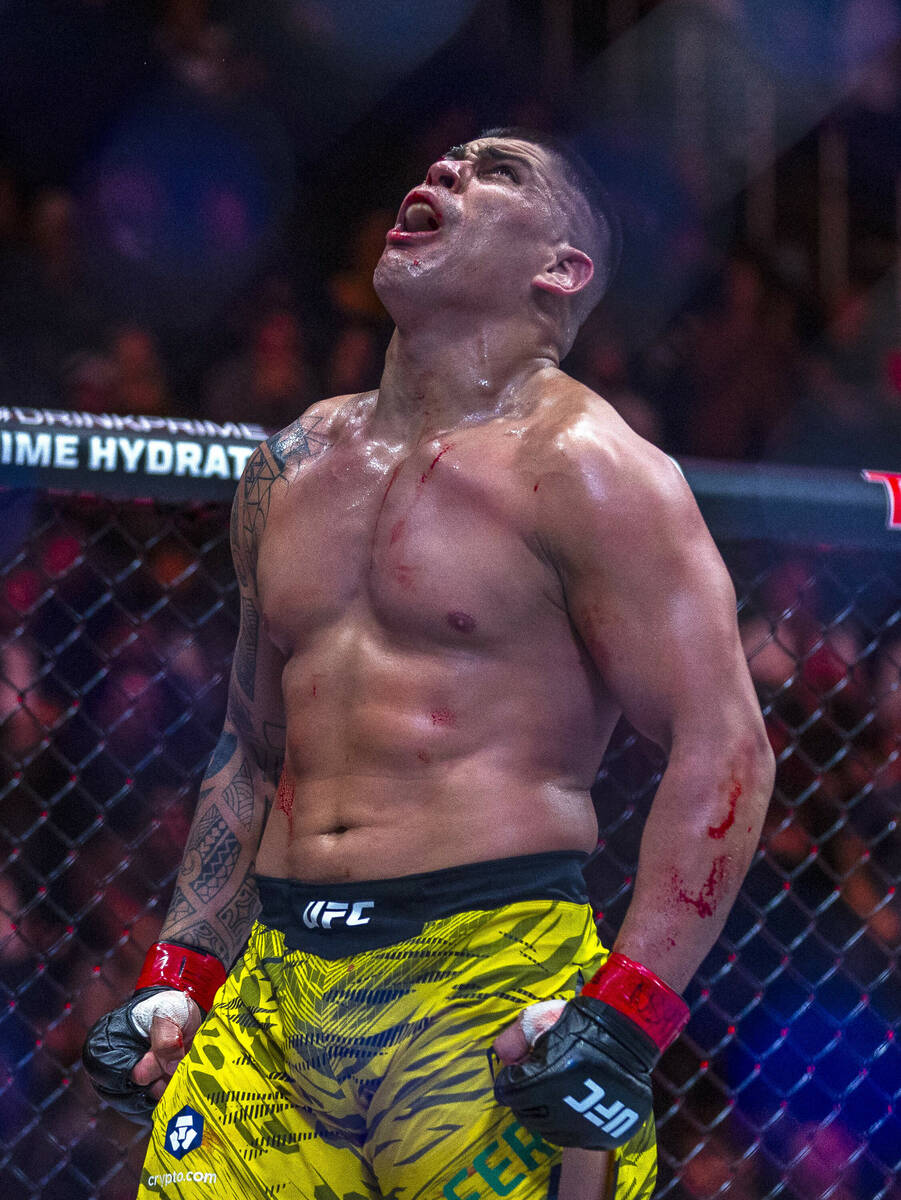 Brunno Ferreira celebrates his win over Armen Petrosya during their middleweight fight in UFC 3 ...