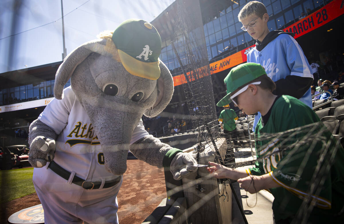 Athletics mascot Stomper autographs a card for Mason Blake, 9, of Henderson, before a Big Leagu ...
