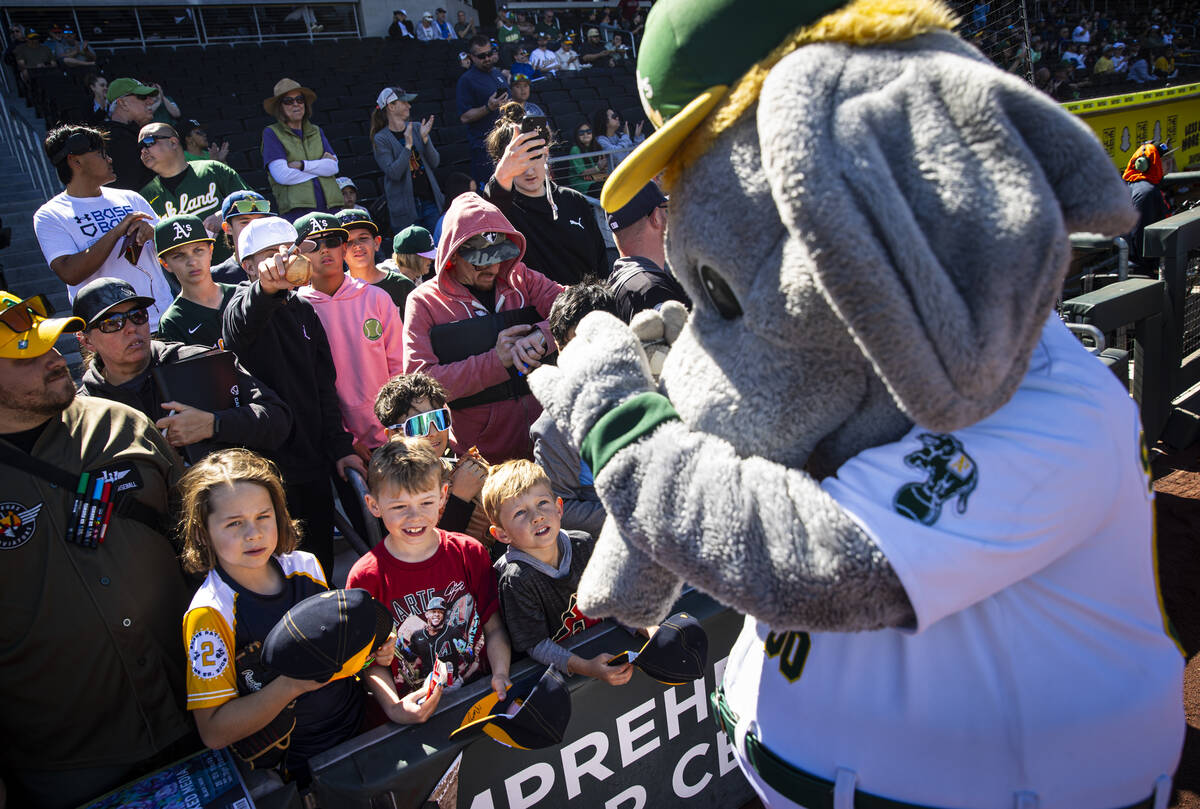 Athletics mascot Stomper signs autographs for fans before a Big League Weekend baseball game ag ...