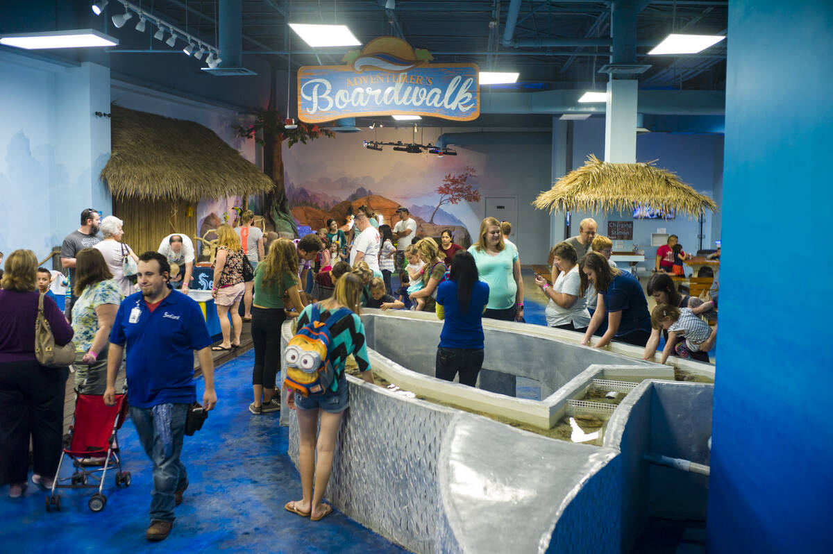 SeaQuest Interactive Aquarium at the Boulevard Mall in Las Vegas on Friday, April 14, 2017. (Mi ...