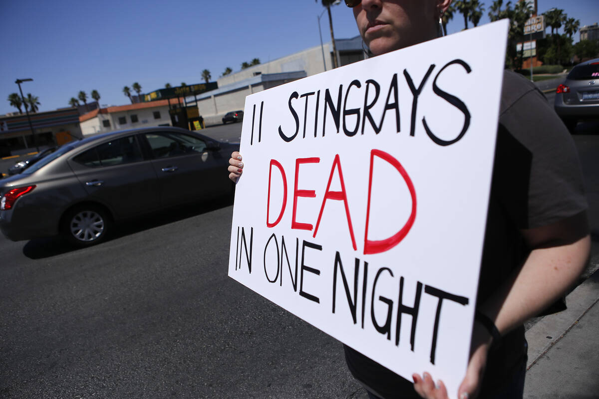 Shana Swanson, 36, protests against Seaquest Interactive Aquarium at Boulevard Mall on Saturday ...