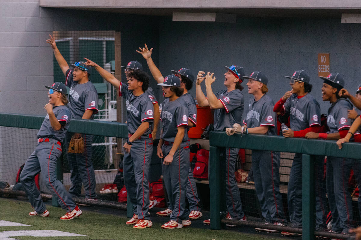 The Arbor View bench celebrates a successful play during a baseball game against Bishop Gorman ...