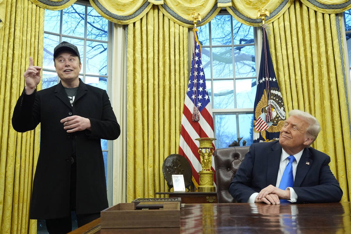 DOGE stimulas checks? Trump calls it a ‘great idea’ Politics and Government News