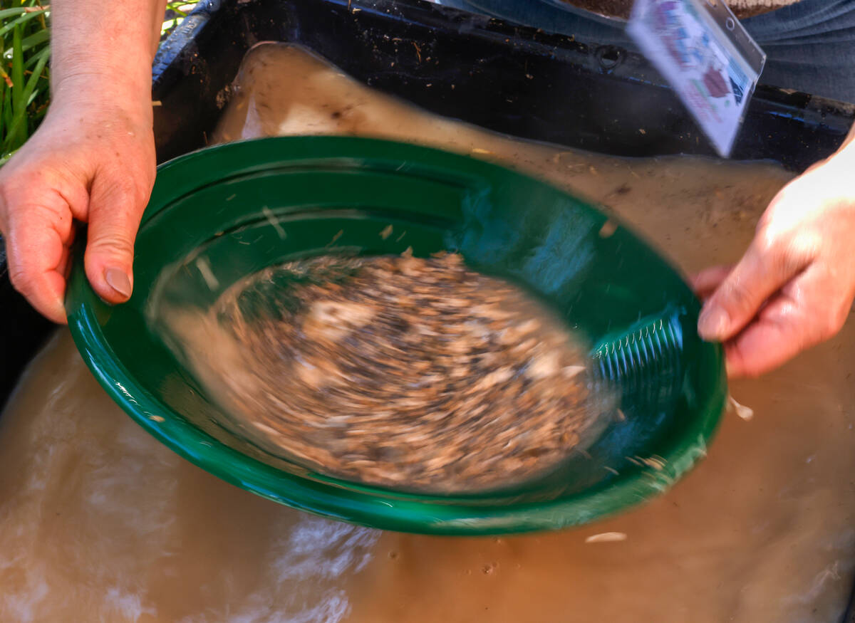 Andrea Zermeno, a teacher at Conners Elementary School, participates in a gold panning workshop ...
