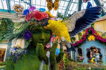 A woman, birds and butterflies within the “The Birds and the B’s” spring i ...