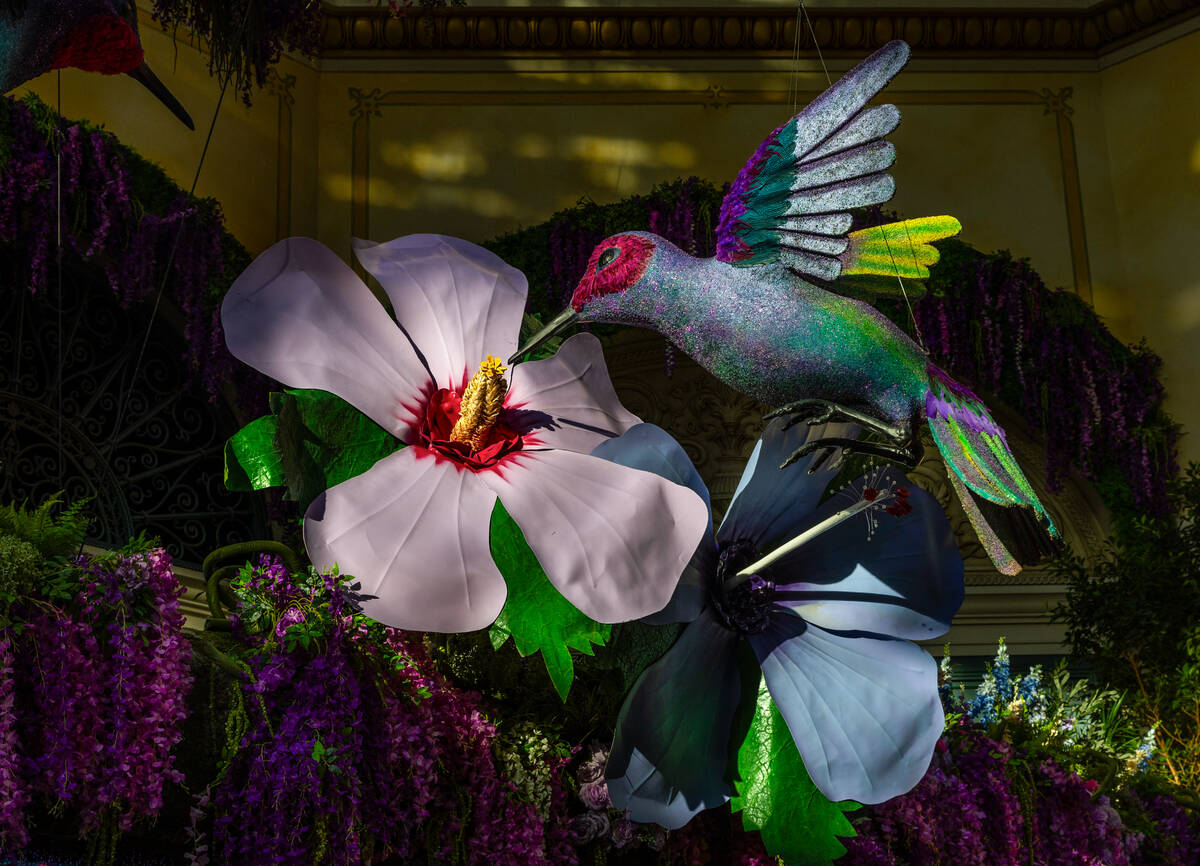 A sparkling hummingbird sips nectar in the "The Birds and the B’s”spring ins ...