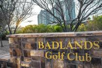 The city of Las Vegas on Wednesday, March 19, 2025, is expected to announce the final resolutio ...