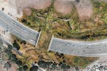 This undated illustration provided by the National Wildlife Federation shows a rendering of a w ...