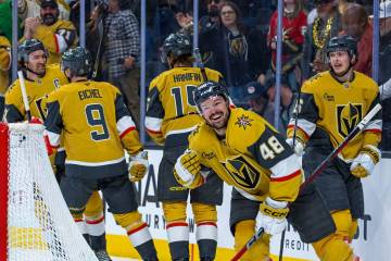 Golden Knights center Tomas Hertl (48) celebrates his second goal of the night against the Detr ...