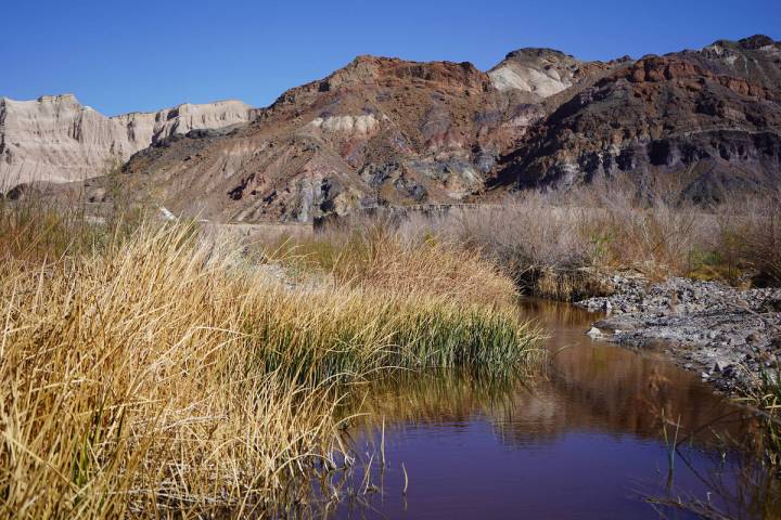 Visitors taking a 4-mile round-trip hike from China Ranch can get this rare glimpse of the 185 ...