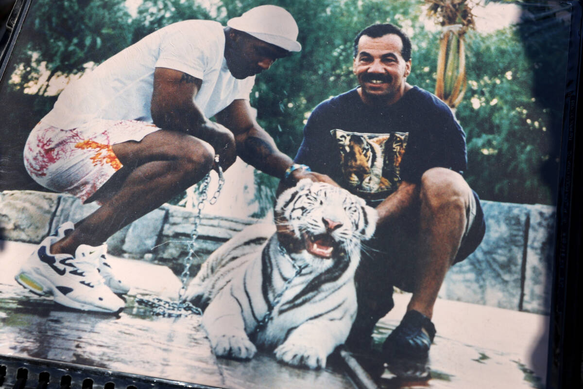 Karl Mitchell and Catherine Griffiths show photos, including this one with Mike Tyson, of Mitch ...