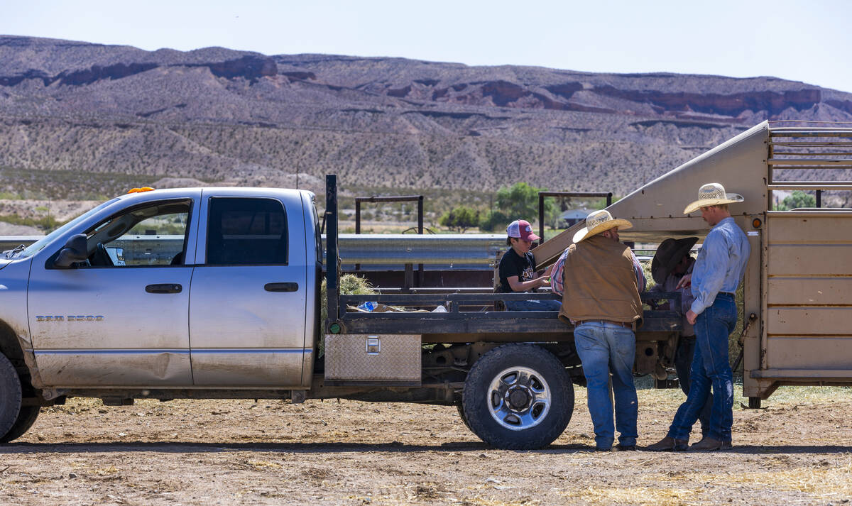 Some of the family members at work on the Bundy Ranch on Saturday, April 5, 2025, in Bunkervill ...