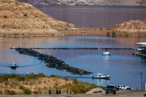 U.S. Park Ranger boats cruise the Las Vegas Boat Harbor within the Lake Mead National Recreatio ...