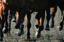 The Nevada Gaming Commission on April 24 will consider penalties greater than can be imposed by ...