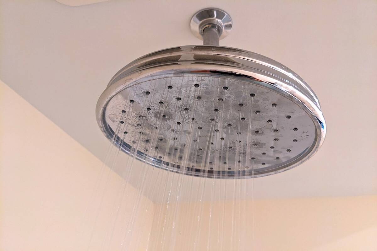 "No longer will shower heads be weak and worthless‚" says the draft of an executive order aim ...