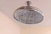 "No longer will shower heads be weak and worthless‚" says the draft of an executive order aim ...