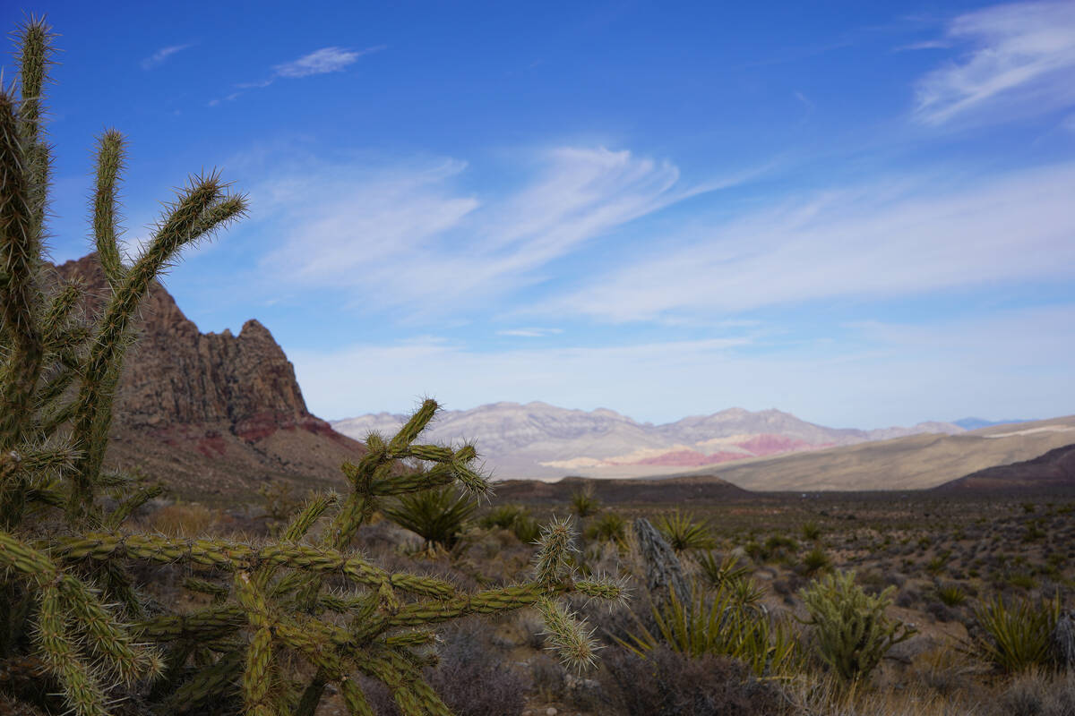 The Red Rock Canyon National Conservation Area 13 Mile Scenic Loop Drive will be closed for a s ...