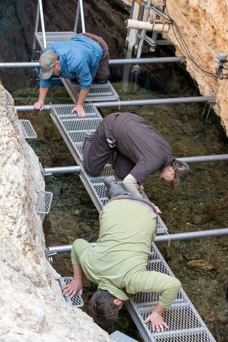 USFWS biologists Michael Schwemm (top) and Jenny Gumm (middle), with NPS biologist Jackson Glom ...