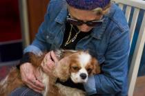 Rachel Dancyg holds her dog, Billie, on Wednesday, April 16, 2025. Israeli soldiers found Billi ...