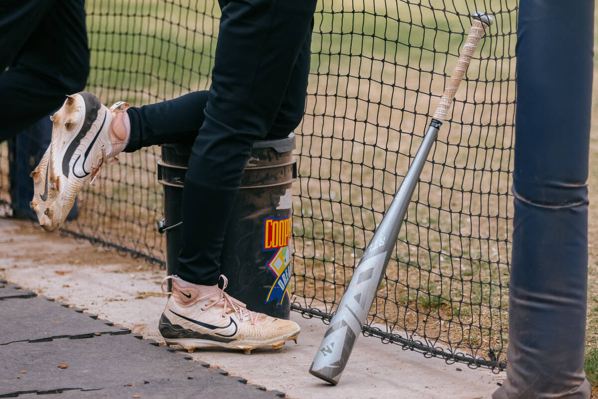 Desert Oasis’ Ashton Kidd (15) watches from the dugout during the baseball game against ...