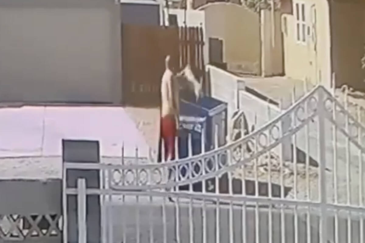This screenshot from an undated video shared online by Vegas Pet Rescue Project shows a man tos ...