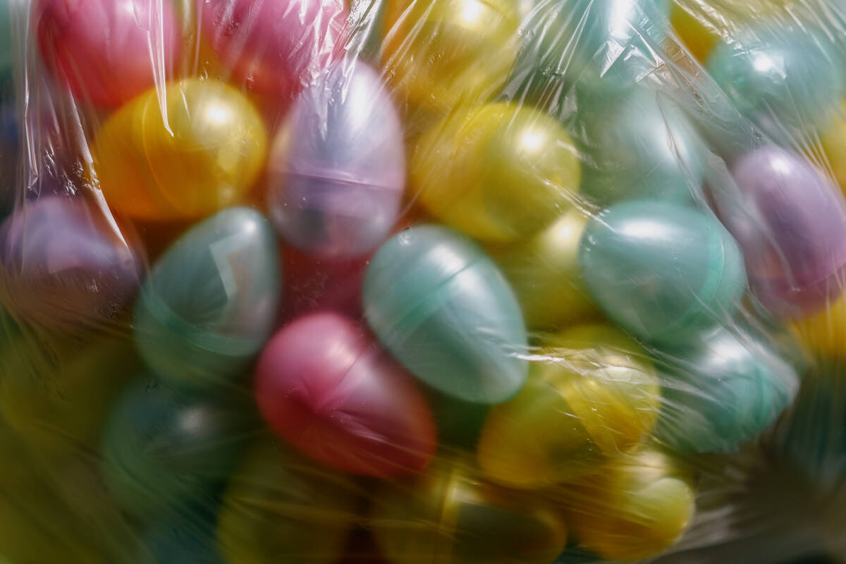 Clark County Parks and Recreation members distribute Easter eggs from plastic bags to the grass ...