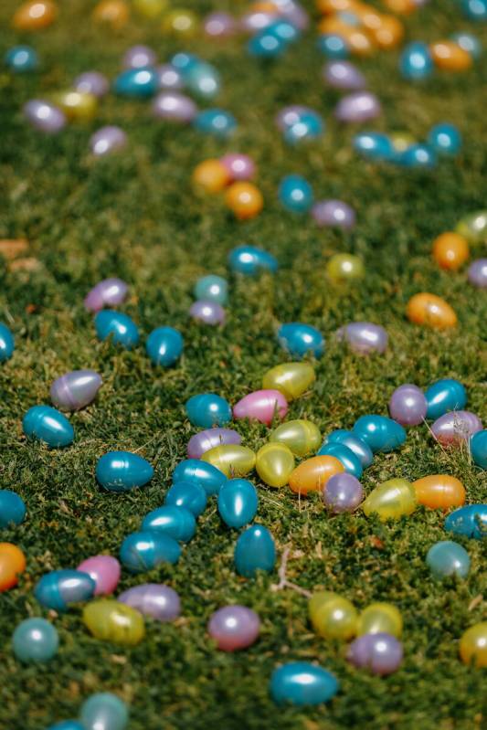 Plastic eggs shine in the sun as they lie on the grass during a community egg hunt hosted by Co ...